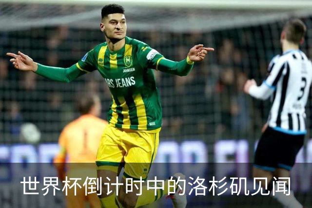 世界杯倒计时中的洛杉矶见闻